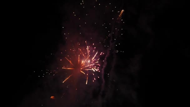 Feuerwerk Bei Nationalfeierlichkeiten — Stockvideo