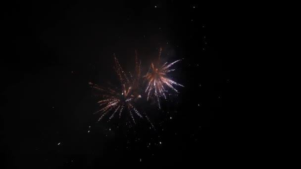 Vuurwerk Bij National Celebration — Stockvideo