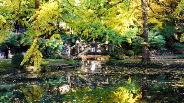 池塘上的木桥 秋色灿烂 — 图库视频影像