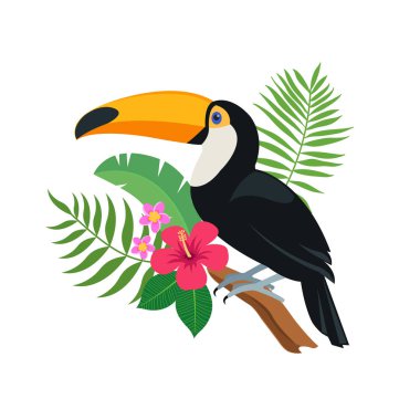 Egzotik yaprak ve çiçek ebegümeci ve plumeria ile tropikal bir dalı üzerinde oturan sevimli toucan kuş. Parlak renkli vektör çizim karikatür tarzı