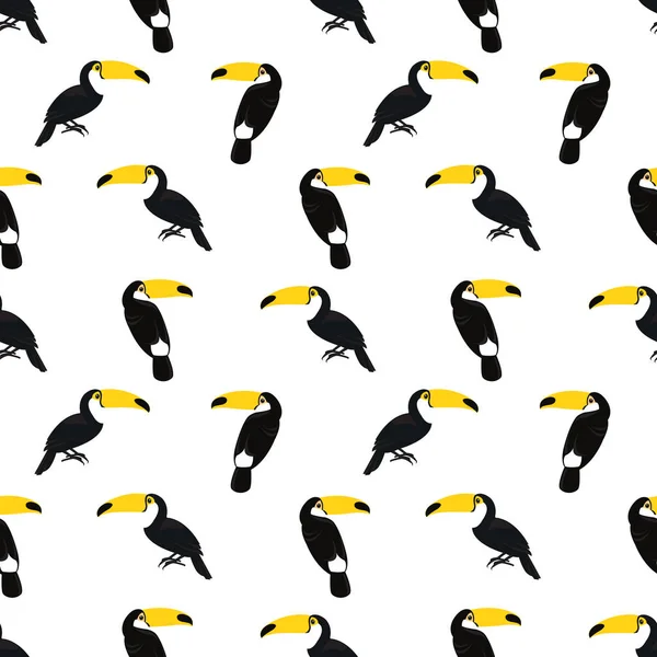 Seamless colorful summer pattern with hand drawn toucan birds on bright white background. Tropical exotic vector illustration