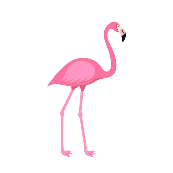 Rózsaszín Flamingó Madár Elszigetelt Fehér Background Vektoros Illusztráció — Stock Vector