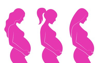 Değişik saç modelleri ile hamile kadınların pembe siluet: düz saç, kıvırcık saçlı, at kuyruğu. Vektör çizim