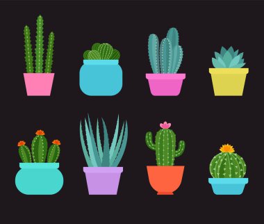Rengarenk kaktüsler, sulu yemekler, farklı saksılardaki aloeler. Kaktüs düz bir şekilde dizilmiş. Siyah arka planda izole edilmiş egzotik bitki koleksiyonu. Çiçekli kaktüs. Vektör illüstrasyonu