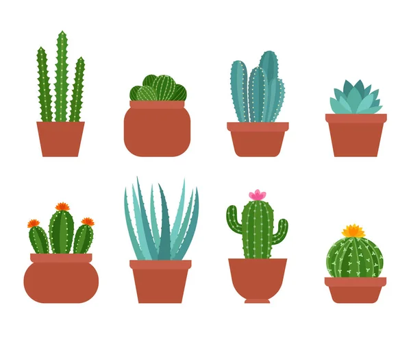 Ensemble Cactus Colorés Mignons Succulents Aloès Dans Différents Pots Fleurs — Image vectorielle