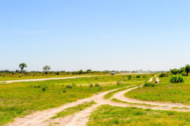 Okavango Deltası, Botsvana - 11 Ocak 2016: Okavango Nehri Deltası'nda küçük turistik uçak, Ulusal Park, Botsvana. Uçak Maun geçidinden parka geliyor.