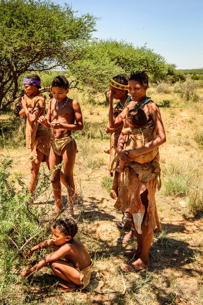 纳米比亚温得和克以东 2016年1月3日 不明身份的丛林人家族 布什曼人是南部非洲各种土著狩猎采集者的成员 — 图库照片