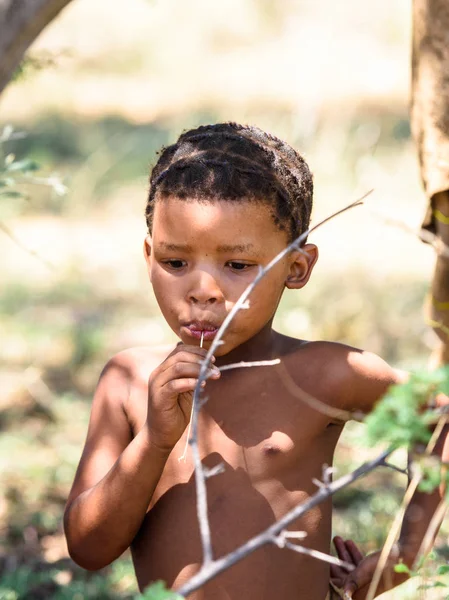 Wschód Windhoek Namibia Jan 2016 Niezidentyfikowany Chłopiec Buszmeni Bushmen Ludzie — Zdjęcie stockowe