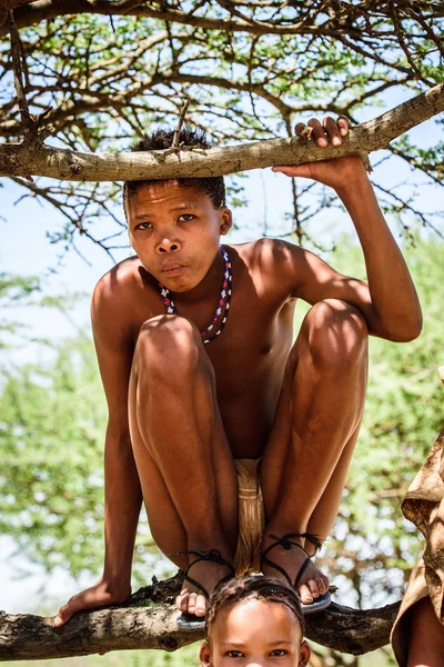 Ten Oosten Van Windhoek Namibië Januari 2016 Ongeïdentificeerde Bushman Boy — Stockfoto