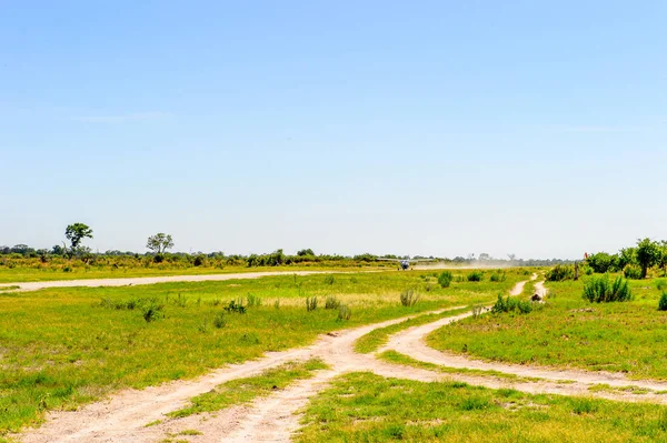 Okavango Deltası, Botsvana - 11 Ocak 2016: Okavango Nehri Deltası'nda küçük turistik uçak, Ulusal Park, Botsvana. Uçak Maun geçidinden parka geliyor.