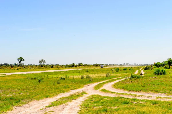 Okavango Delta Botswana Ene 2016 Pequeño Avión Turístico Delta Del —  Fotos de Stock