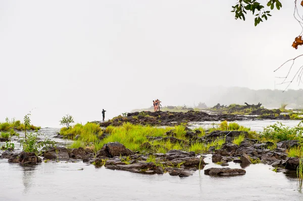 Livingstone Adası, Zambiya - 14 Ocak 2016: Kimliği belirsiz turistler, İskoç kaşif David Livingstone'un adını taşıyan Livingstone Adası'ndaki Zambezi nehrinde yüzmek üzere,