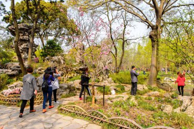 Suzhou, Çin - Nis 1, 2016: Mütevazı Yönetici Bahçesi, Suzhou bir Çin bahçesi, Unesco Dünya Mirası