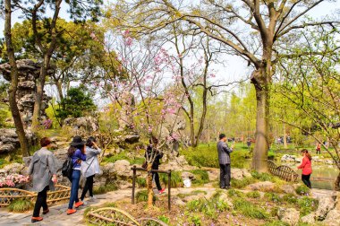 Suzhou, Çin - Nis 1, 2016: Mütevazı Yönetici Bahçesi, Suzhou bir Çin bahçesi, Unesco Dünya Mirası