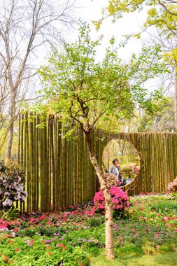 Suzhou, Çin - Nis 1, 2016: Mütevazı Yönetici Bahçesi, Suzhou bir Çin bahçesi, Unesco Dünya Mirası