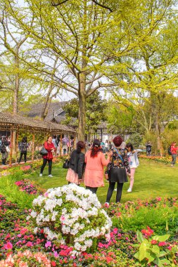 Suzhou, Çin - Nis 1, 2016: Mütevazı Yönetici Bahçesi, Suzhou bir Çin bahçesi, Unesco Dünya Mirası