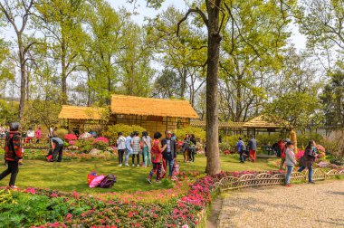 Suzhou, Çin - Nis 1, 2016: Mütevazı Yönetici Bahçesi, Suzhou bir Çin bahçesi, Unesco Dünya Mirası