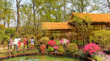 Suzhou, Çin - Nis 1, 2016: Mütevazı Yönetici Bahçesi, Suzhou bir Çin bahçesi, Unesco Dünya Mirası