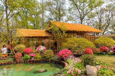 Suzhou, Çin - Nis 1, 2016: Mütevazı Yönetici Bahçesi, Suzhou bir Çin bahçesi, Unesco Dünya Mirası