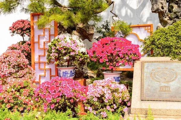Suzhou China Abr 2016 Firma Unesco Jardín Del Administrador Humilde — Foto de Stock