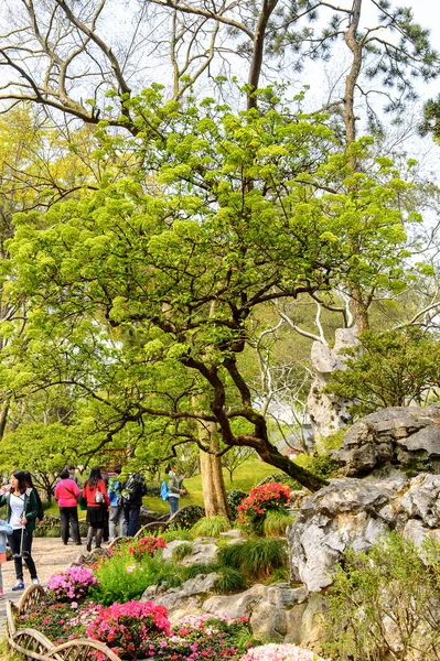 Suzhou China Apr 2016 Humble Administrator Garden Een Chinese Tuin — Stockfoto