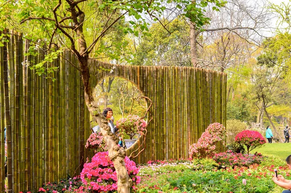 Suzhou, Çin - Nis 1, 2016: Mütevazı Yönetici Bahçesi, Suzhou bir Çin bahçesi, Unesco Dünya Mirası