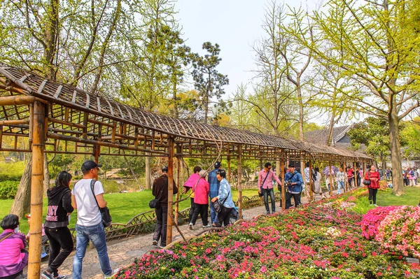 Σουτσόου Κίνα Απρ 2016 Κήπος Του Ταπεινού Διαχειριστή Ένας Κινέζικος — Φωτογραφία Αρχείου