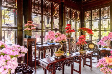 SUZHOU, CHINA - APR 1, 2016:  Flowers at one of the pavilions of The Humble Administrator's Garden,  a Chinese garden in Suzhou, a UNESCO World Heritage Site clipart