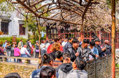 Suzhou, Çin - 1 Nisan 2016: Mütevazı Yönetici Bahçesi'nin Doğası, Suzhou'da bir Çin bahçesi, Unesco Dünya Mirası Listesi