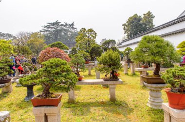 Suzhou, Çin - 1 Nisan 2016: Mütevazı Yönetici Bahçesi'nin Doğası, Suzhou'da bir Çin bahçesi, Unesco Dünya Mirası Listesi