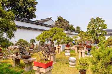 Suzhou, Çin - Nis 1, 2016: Mütevazı Yönetici Bahçesi, Suzhou bir Çin bahçesi, Unesco Dünya Mirası