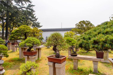 Suzhou, Çin - Nis 1, 2016: Mütevazı Yönetici Bahçesi, Suzhou bir Çin bahçesi, Unesco Dünya Mirası