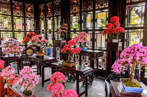 Suzhou China Abr 2016 Flores Uno Los Pabellones Del Jardín —  Fotos de Stock