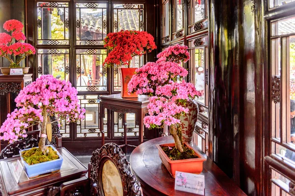 2016 謙虚な管理者の庭のパビリオンの一つで花 蘇州の中国庭園 ユネスコの世界遺産 — ストック写真