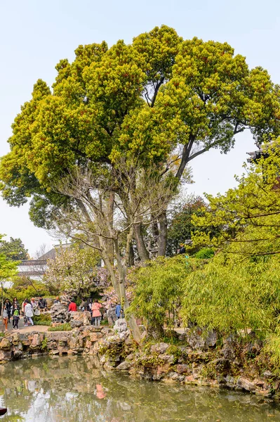 Suzhou China 2016 Unbekannte Touristen Garten Des Bescheidenen Verwalters Einem — Stockfoto