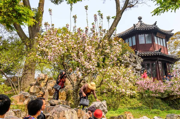 2016年4月1日 ユネスコ世界遺産に登録された蘇州の中国庭園 謙虚な管理者の庭の自然 — ストック写真