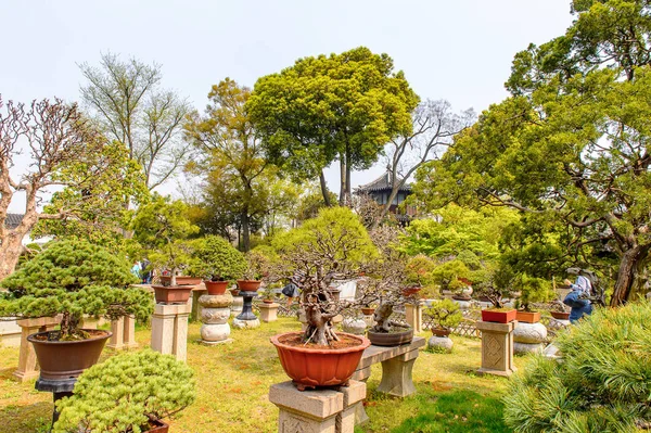 2016年4月1日 ユネスコ世界遺産に登録された蘇州の中国庭園 謙虚な管理者の庭 — ストック写真