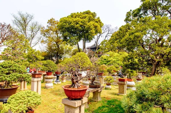 Suzhou China Apr 2016 Humble Administrator Garden Een Chinese Tuin — Stockfoto