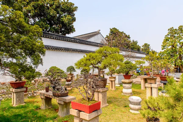 Suzhou, Çin - Nis 1, 2016: Mütevazı Yönetici Bahçesi, Suzhou bir Çin bahçesi, Unesco Dünya Mirası