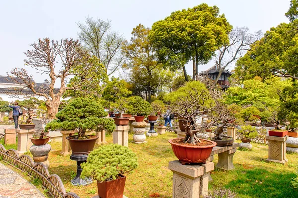 Suzhou China Apr 2016 Humble Administrator Garden Een Chinese Tuin — Stockfoto