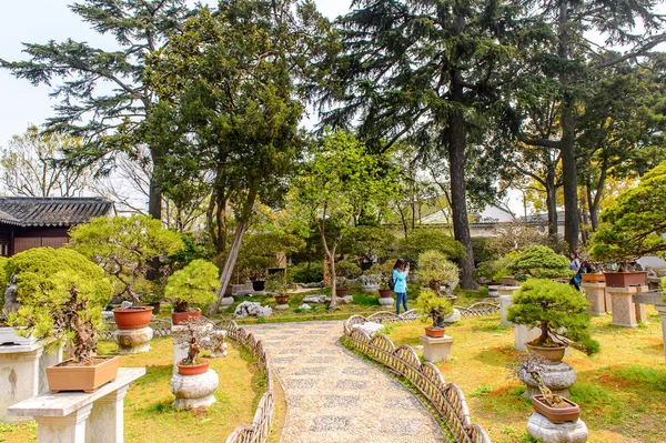 Suzhou Cina Apr 2016 Humble Administrator Garden Giardino Cinese Suzhou — Foto Stock