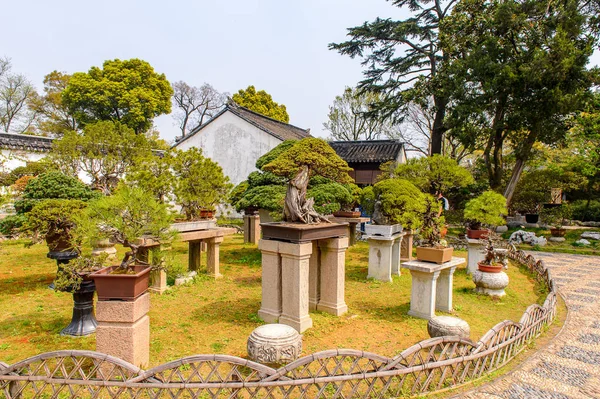 Suzhou, Çin - Nis 1, 2016: Mütevazı Yönetici Bahçesi, Suzhou bir Çin bahçesi, Unesco Dünya Mirası