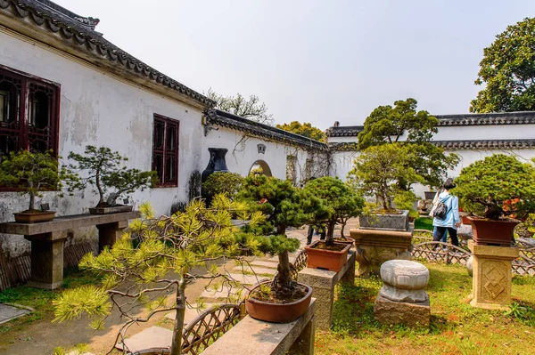 Suzhou China Abr 2016 Humilde Jardín Administrativo Jardín Chino Suzhou —  Fotos de Stock