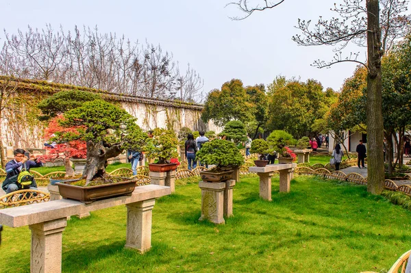 Suzhou Chine 1Er Avril 2016 Jardin Administrateur Humble Jardin Chinois — Photo