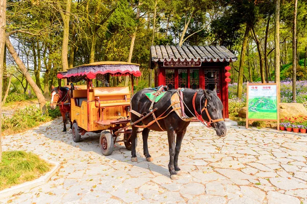 Suzhou China Abr 2016 Caballo Colina Del Tigre Suzhou China —  Fotos de Stock