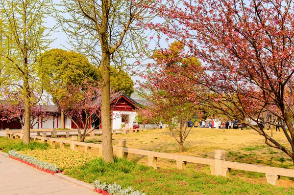 2016年4月1日 中国蘇州のタイガーヒルの自然 それは その自然の美しさだけでなく 史跡で知られています — ストック写真