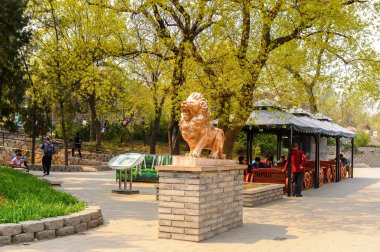 Pekin, Çin - Nis 5, 2016: Pekin Hayvanat Bahçesi, Pekin, Çin'de bir zooloji parkı. 1906 yılında kurulan çin'in en eski hayvanat bahçelerinden biridir.