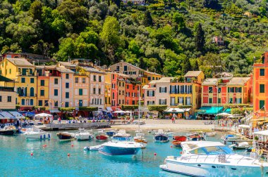 Portofino, İtalya - 4 Mayıs 2016: İtalyan balıkçı köyü Portofino'nun pitoresk limanı, Cenova eyaleti, İtalya. Ünlü ve sanatsal ziyaretçiler ile bir tatil beldesi.