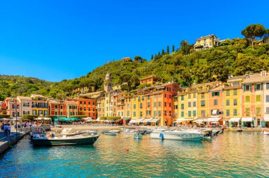 Portofino, İtalya - 4 Mayıs 2016: İtalyan balıkçı köyü Portofino'nun güzel limanı, Cenova eyaleti, İtalya. Ünlü ve sanatsal ziyaretçiler ile bir tatil beldesi.