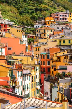 Riomaggiore, İtalya - 5 Mayıs 2016: Riomaggiore Evleri, La Spezia eyaletinde bir köy, Liguria, İtalya. Unesco Dünya Mirası Listesi'ndeki Cinque Terre topraklarından biri.